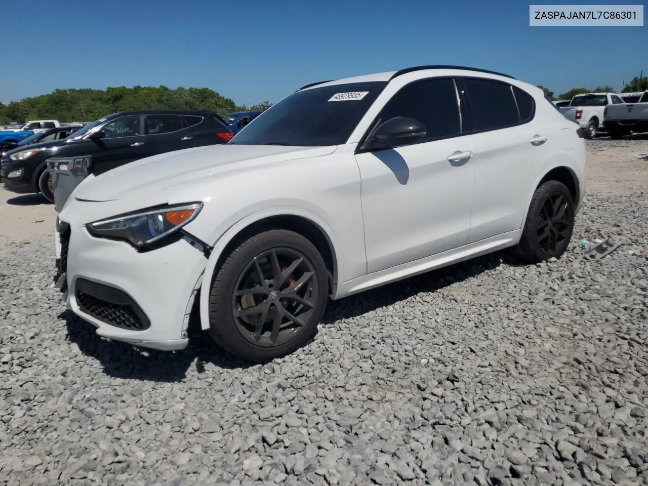2020 Alfa Romeo Stelvio VIN: ZASPAJAN7L7C86301 Lot: 48929935