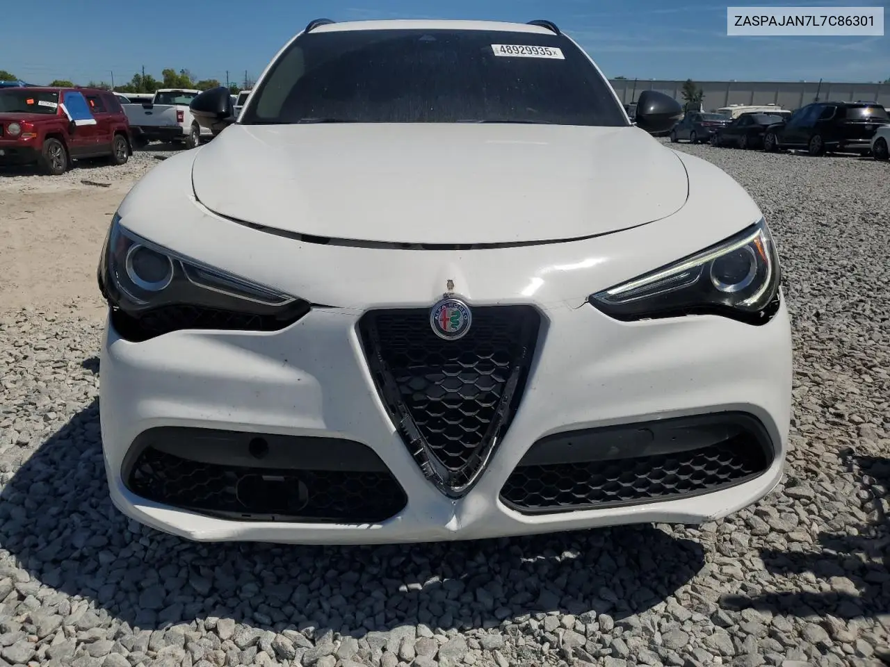 2020 Alfa Romeo Stelvio VIN: ZASPAJAN7L7C86301 Lot: 48929935
