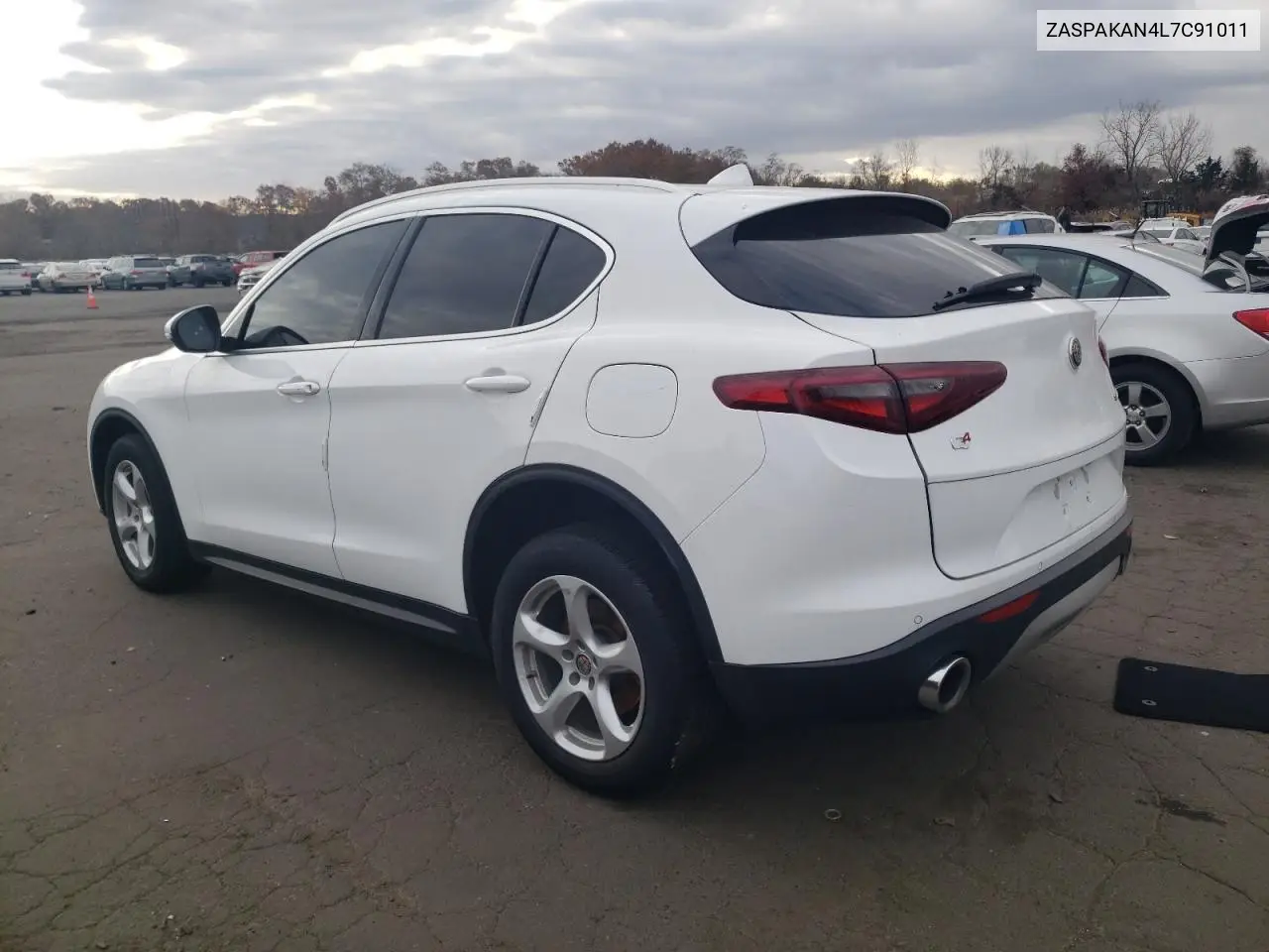 2020 Alfa Romeo Stelvio VIN: ZASPAKAN4L7C91011 Lot: 53800315