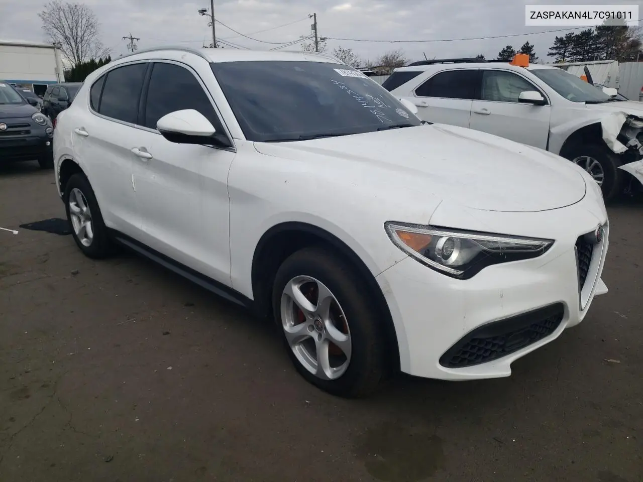 2020 Alfa Romeo Stelvio VIN: ZASPAKAN4L7C91011 Lot: 53800315