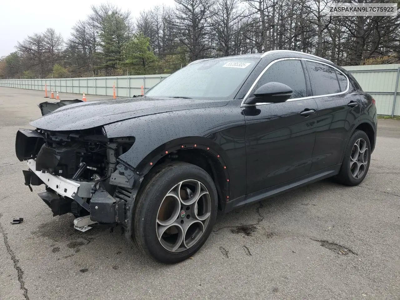2020 Alfa Romeo Stelvio VIN: ZASPAKAN9L7C75922 Lot: 55285305