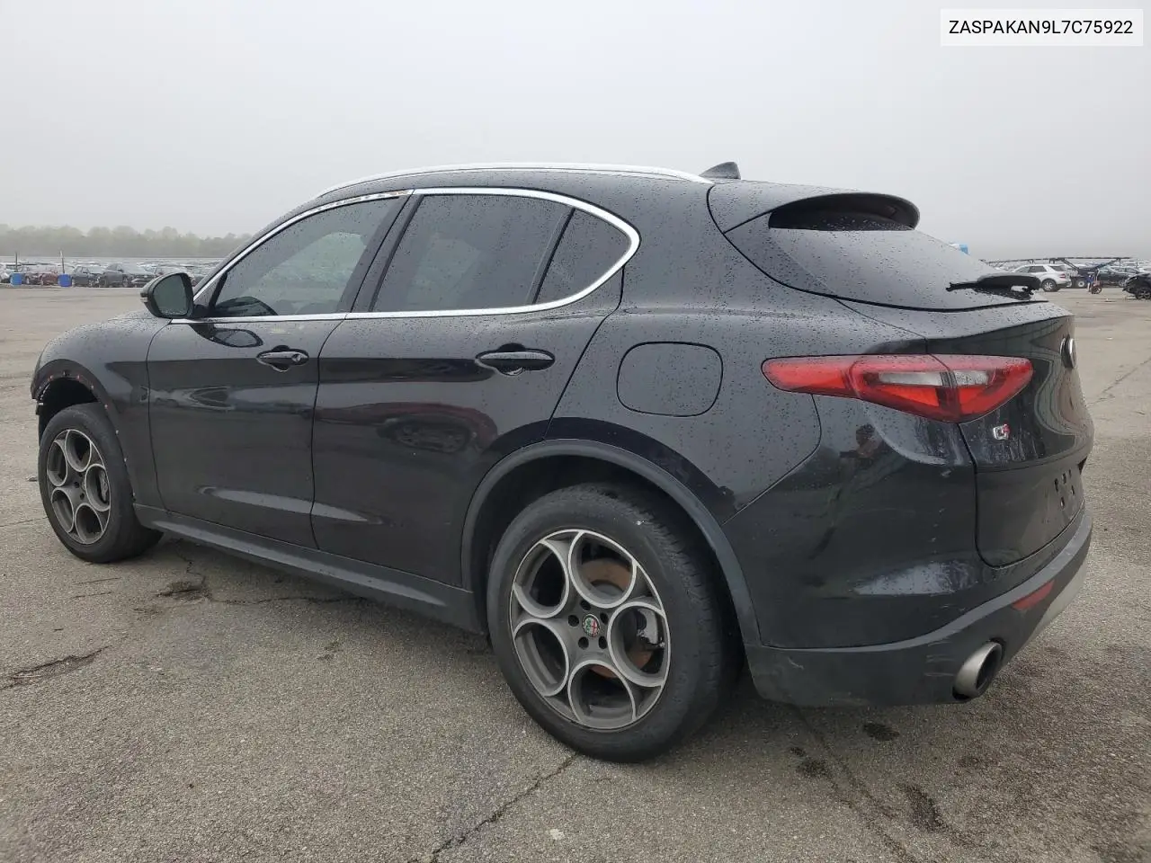 2020 Alfa Romeo Stelvio VIN: ZASPAKAN9L7C75922 Lot: 55285305