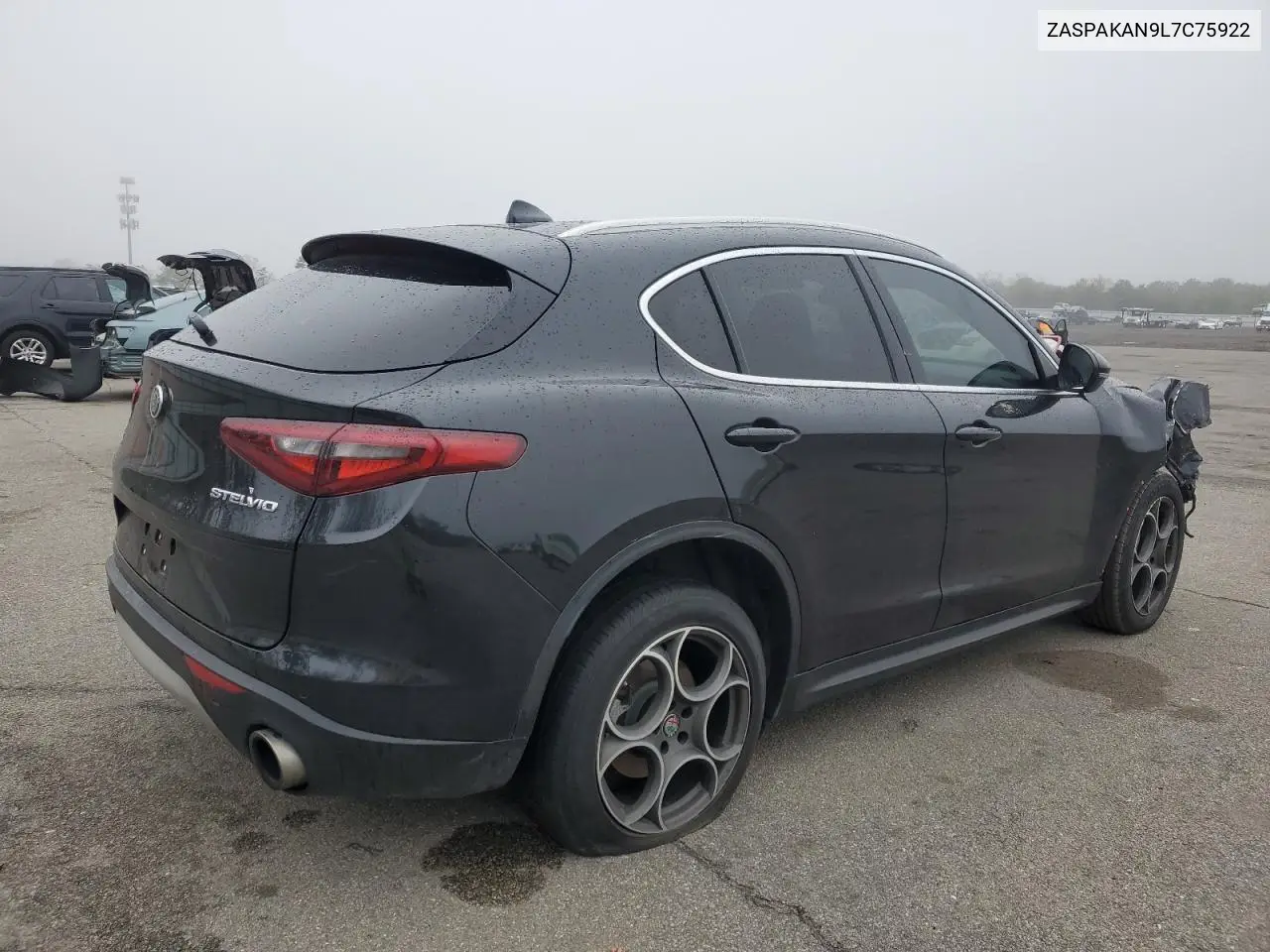 2020 Alfa Romeo Stelvio VIN: ZASPAKAN9L7C75922 Lot: 55285305