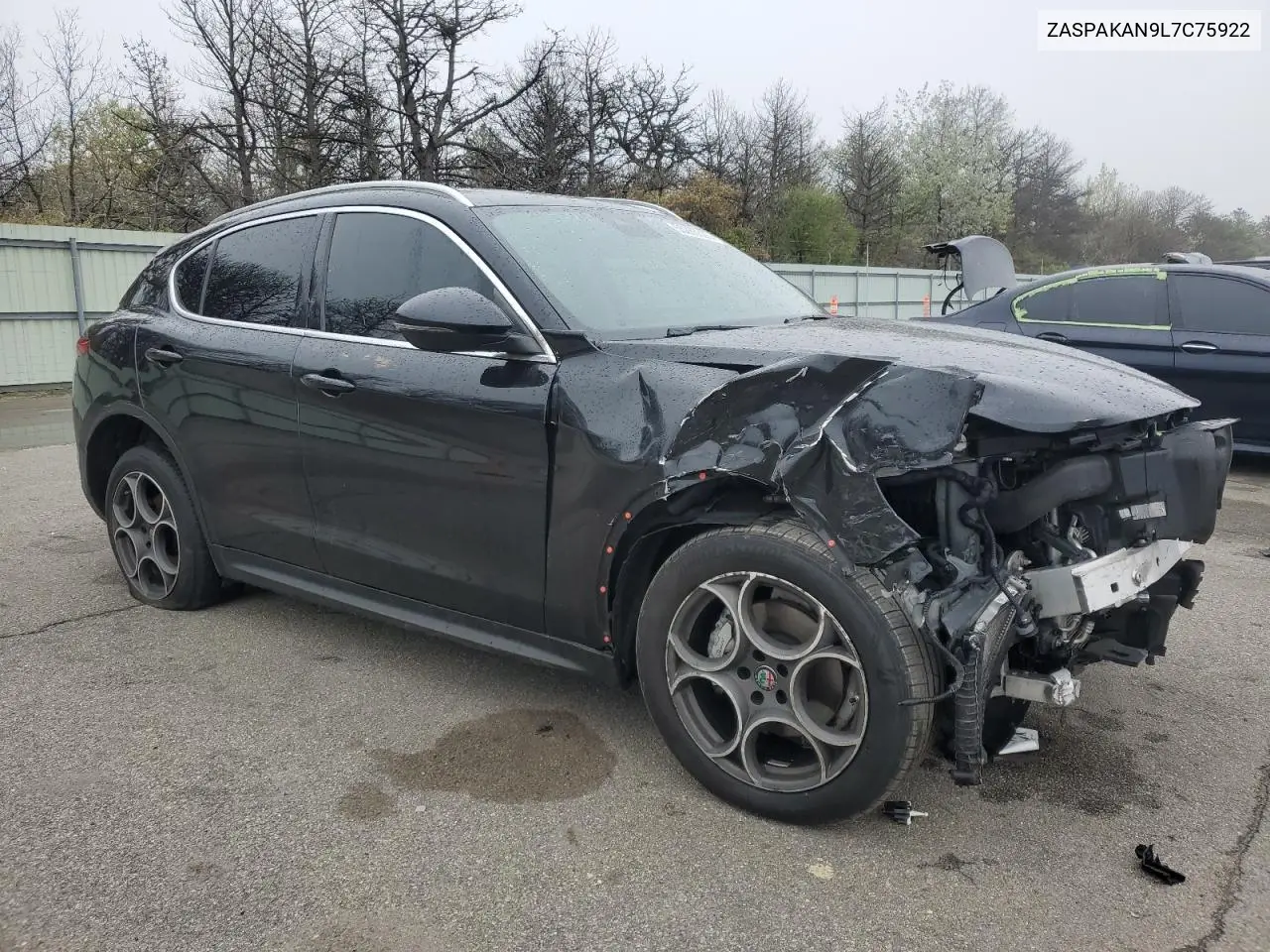 2020 Alfa Romeo Stelvio VIN: ZASPAKAN9L7C75922 Lot: 55285305