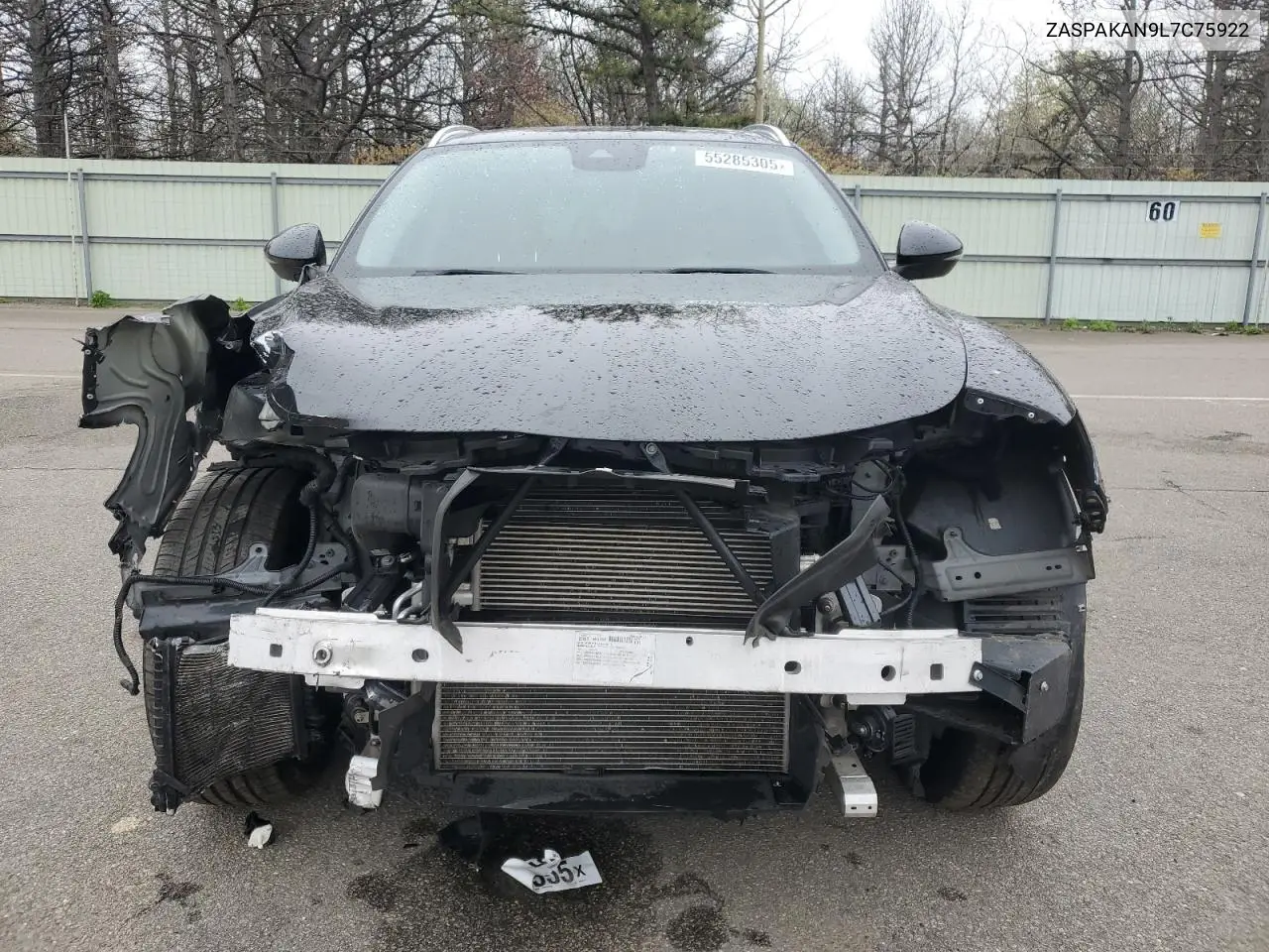 2020 Alfa Romeo Stelvio VIN: ZASPAKAN9L7C75922 Lot: 55285305