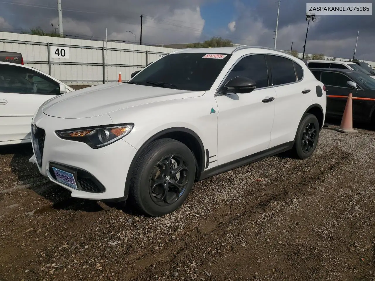 2020 Alfa Romeo Stelvio VIN: ZASPAKAN0L7C75985 Lot: 56137875