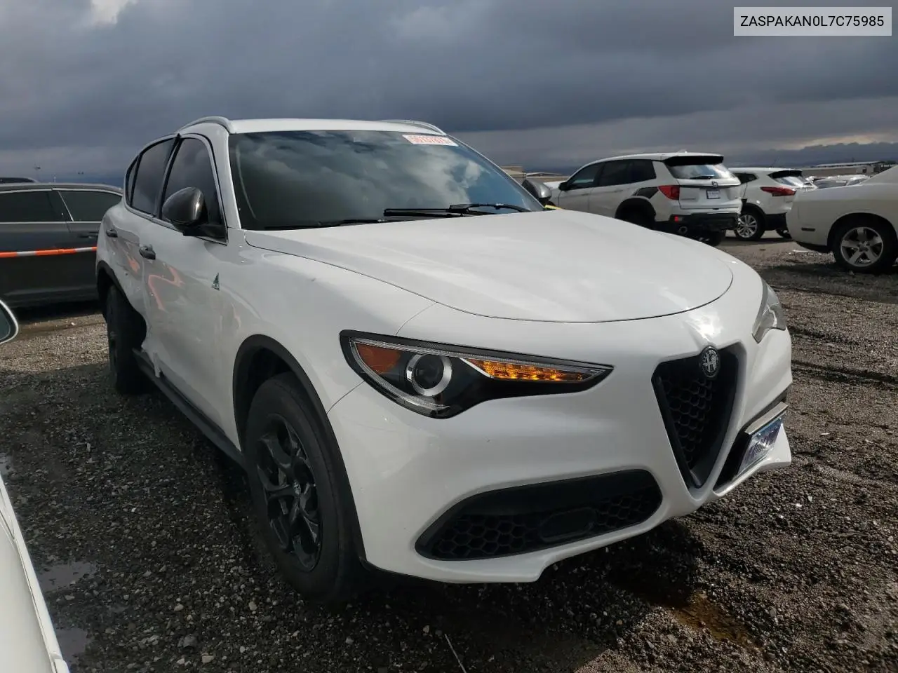 2020 Alfa Romeo Stelvio VIN: ZASPAKAN0L7C75985 Lot: 56137875