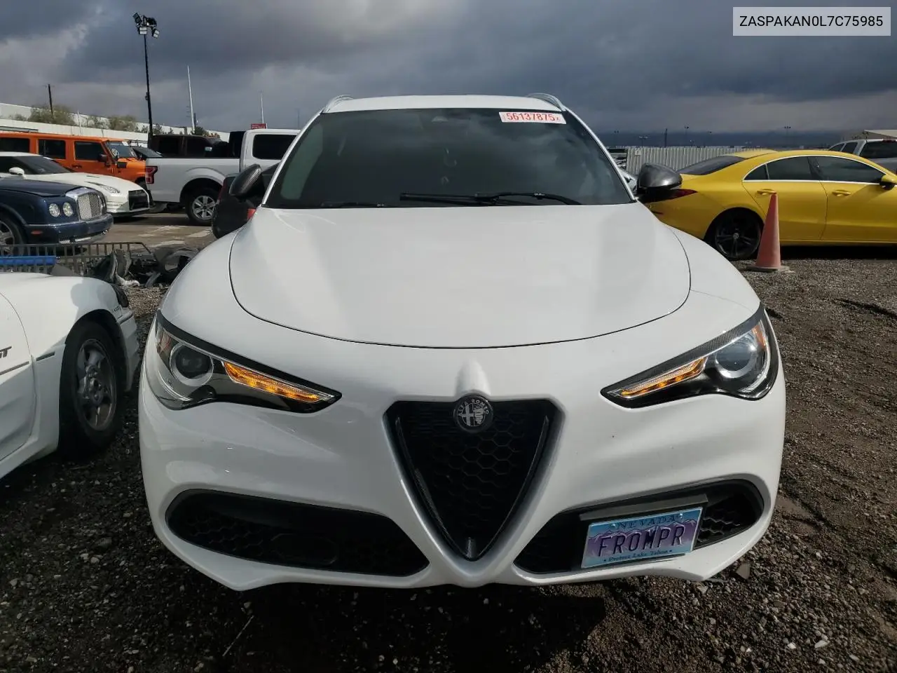 2020 Alfa Romeo Stelvio VIN: ZASPAKAN0L7C75985 Lot: 56137875