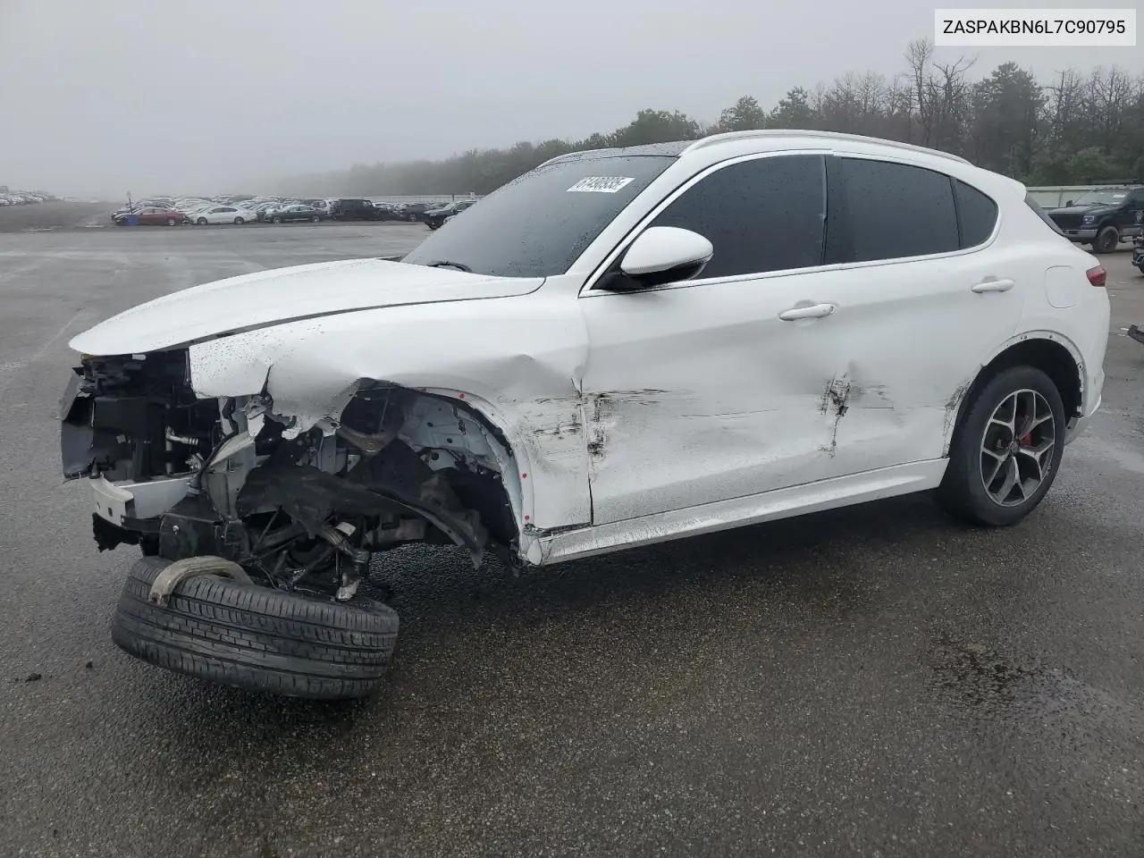 2020 Alfa Romeo Stelvio Ti VIN: ZASPAKBN6L7C90795 Lot: 61490935