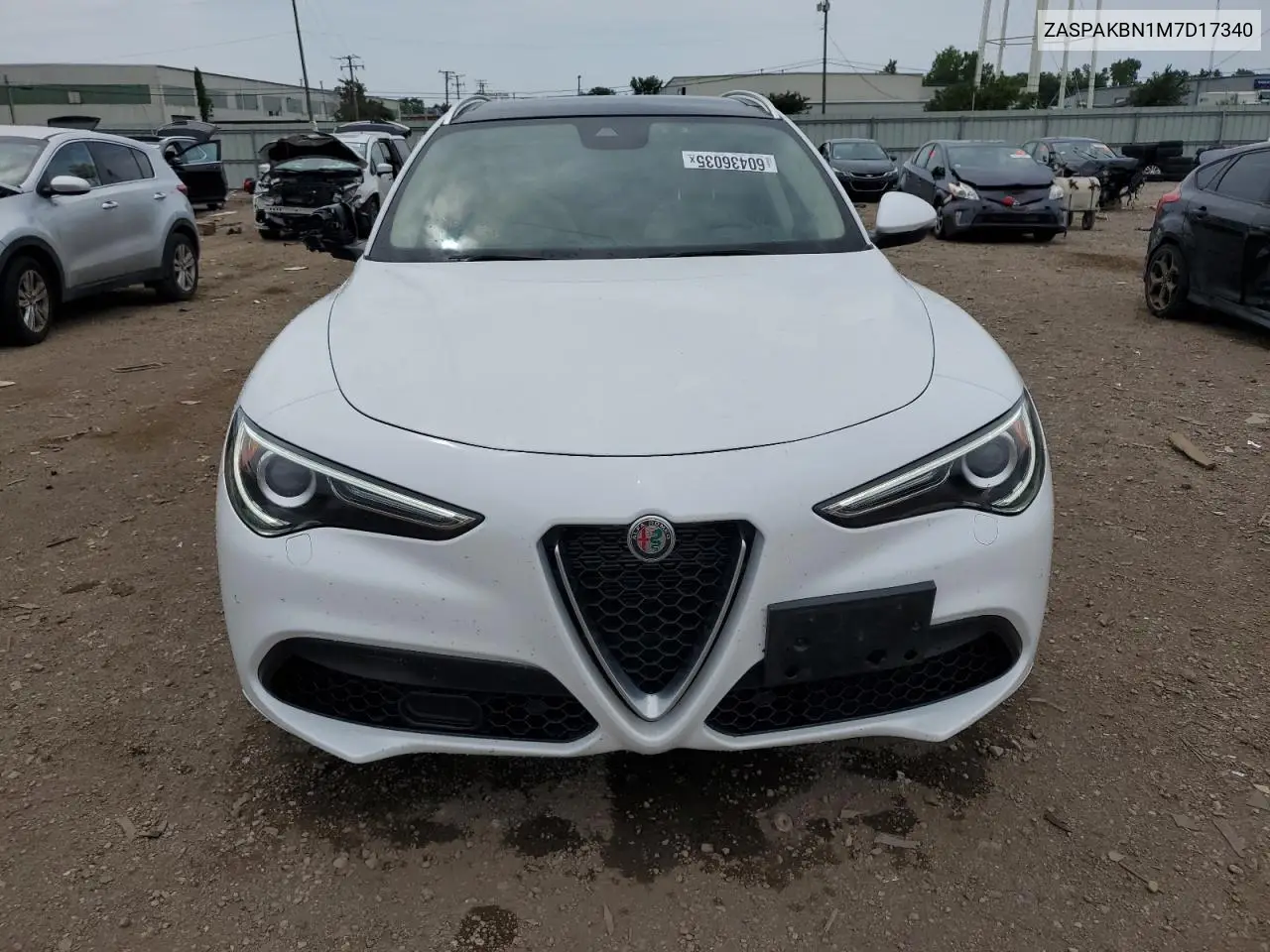 2021 Alfa Romeo Stelvio Ti VIN: ZASPAKBN1M7D17340 Lot: 60436035