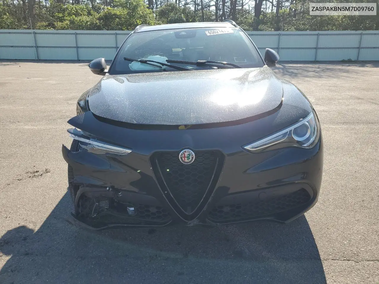 2021 Alfa Romeo Stelvio Ti VIN: ZASPAKBN5M7D09760 Lot: 65021475
