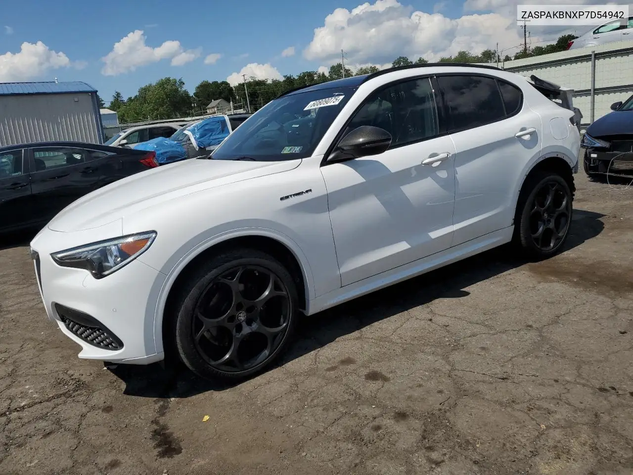 2023 Alfa Romeo Stelvio Ti VIN: ZASPAKBNXP7D54942 Lot: 60809075