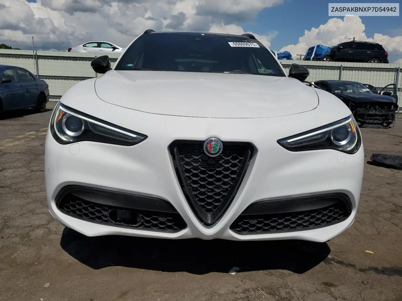 2023 Alfa Romeo Stelvio Ti VIN: ZASPAKBNXP7D54942 Lot: 60809075