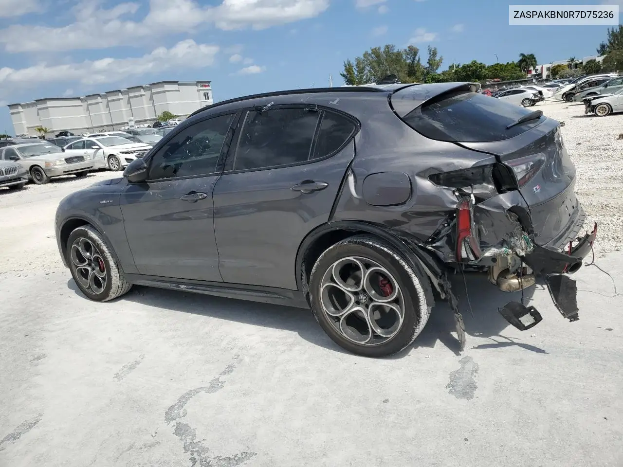 2024 Alfa Romeo Stelvio Ti VIN: ZASPAKBN0R7D75236 Lot: 48906355