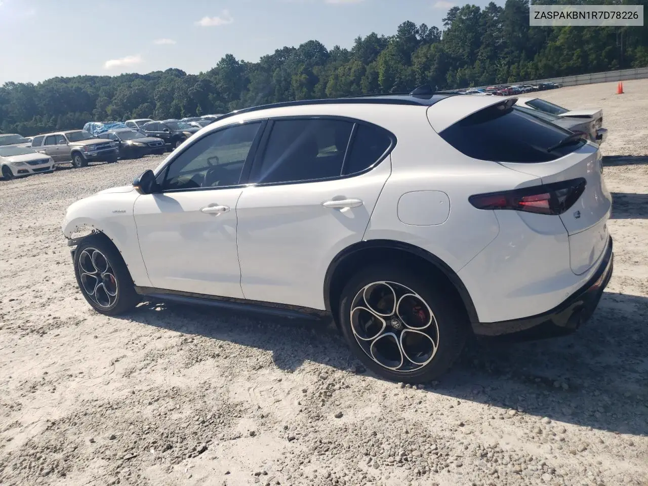 2024 Alfa Romeo Stelvio Ti VIN: ZASPAKBN1R7D78226 Lot: 62261635