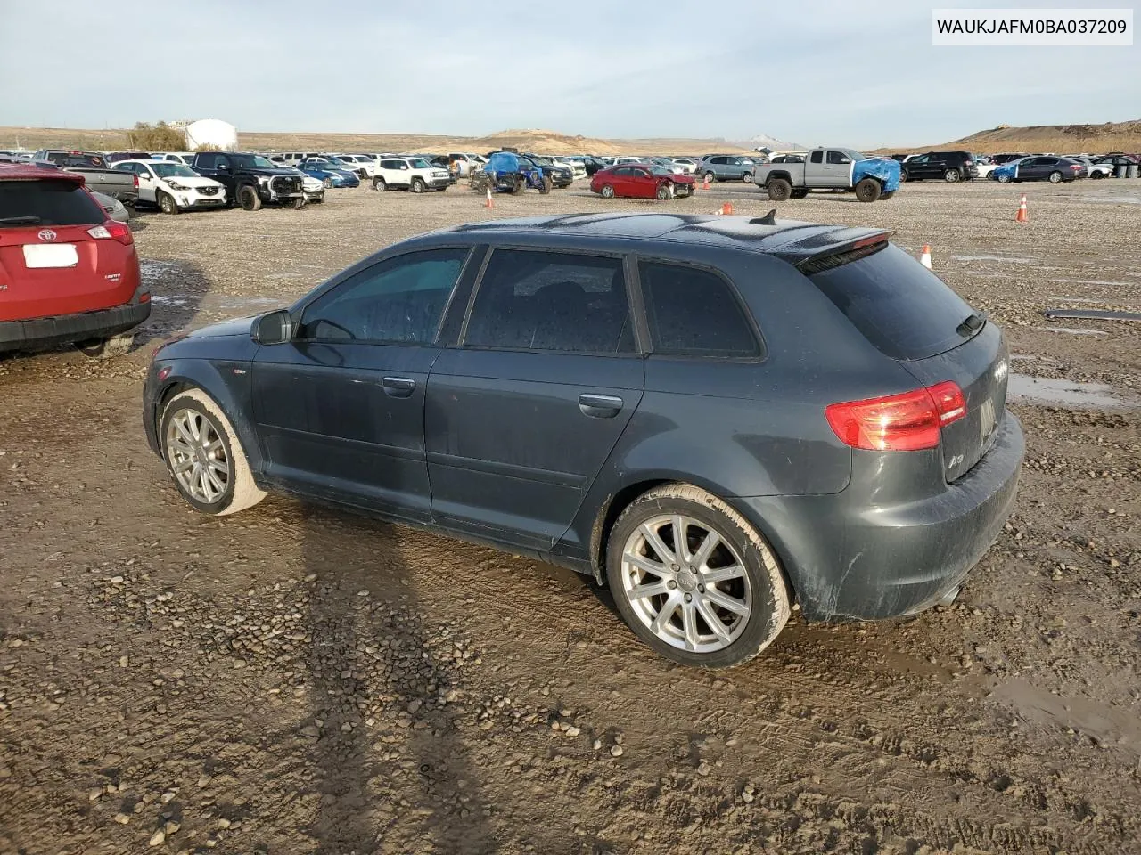 2011 Audi A3 Premium Plus VIN: WAUKJAFM0BA037209 Lot: 80162204