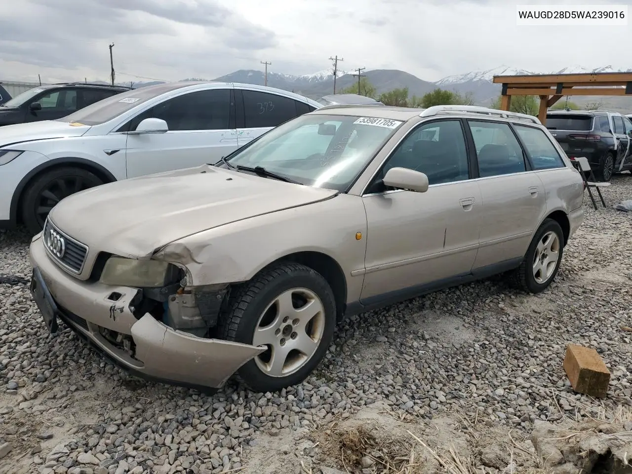 1998 Audi A4 2.8 Avant Quattro VIN: WAUGD28D5WA239016 Lot: 53981705