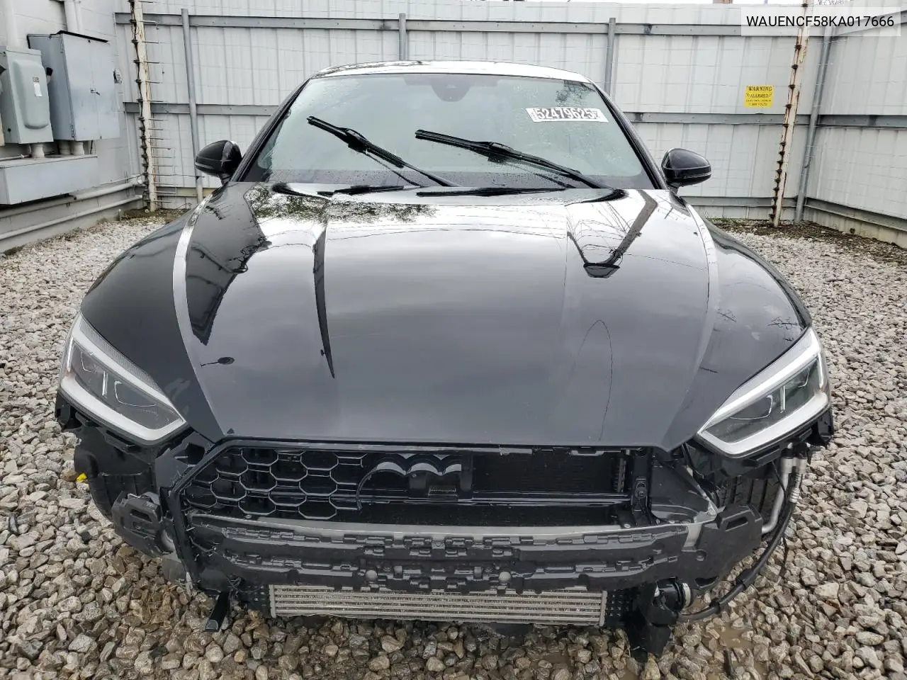 2019 Audi A5 Premium Plus S-Line VIN: WAUENCF58KA017666 Lot: 52479625