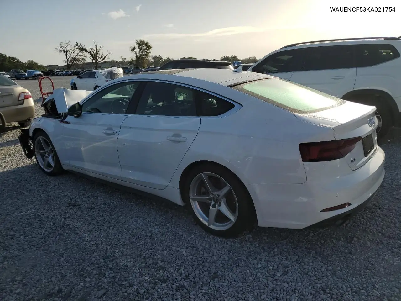 2019 Audi A5 Premium Plus S-Line VIN: WAUENCF53KA021754 Lot: 62816285