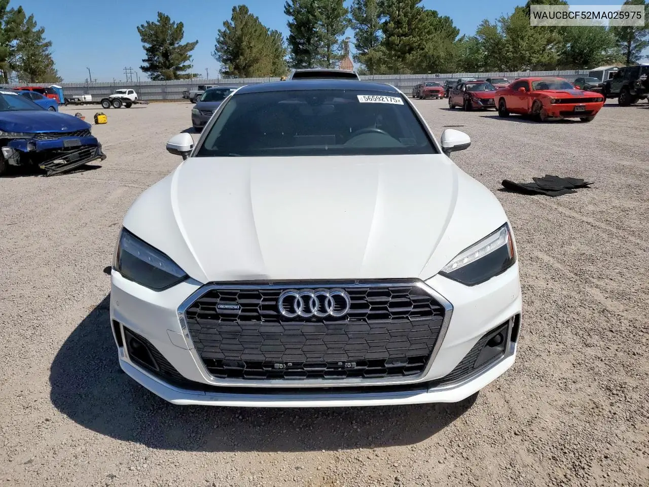 2021 Audi A5 Premium Plus 40 VIN: WAUCBCF52MA025975 Lot: 56592175
