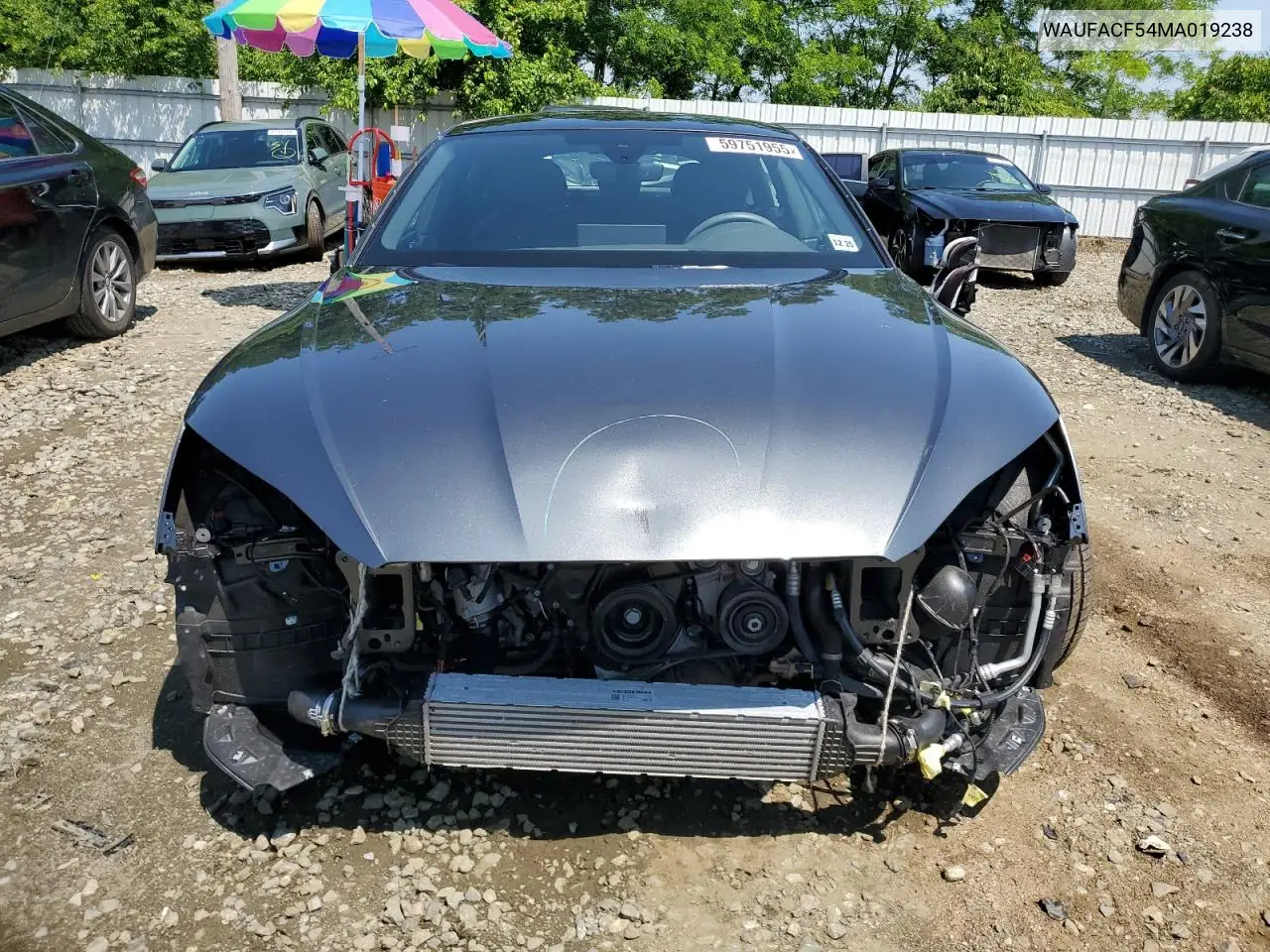 2021 Audi A5 Premium Plus 45 VIN: WAUFACF54MA019238 Lot: 59751955