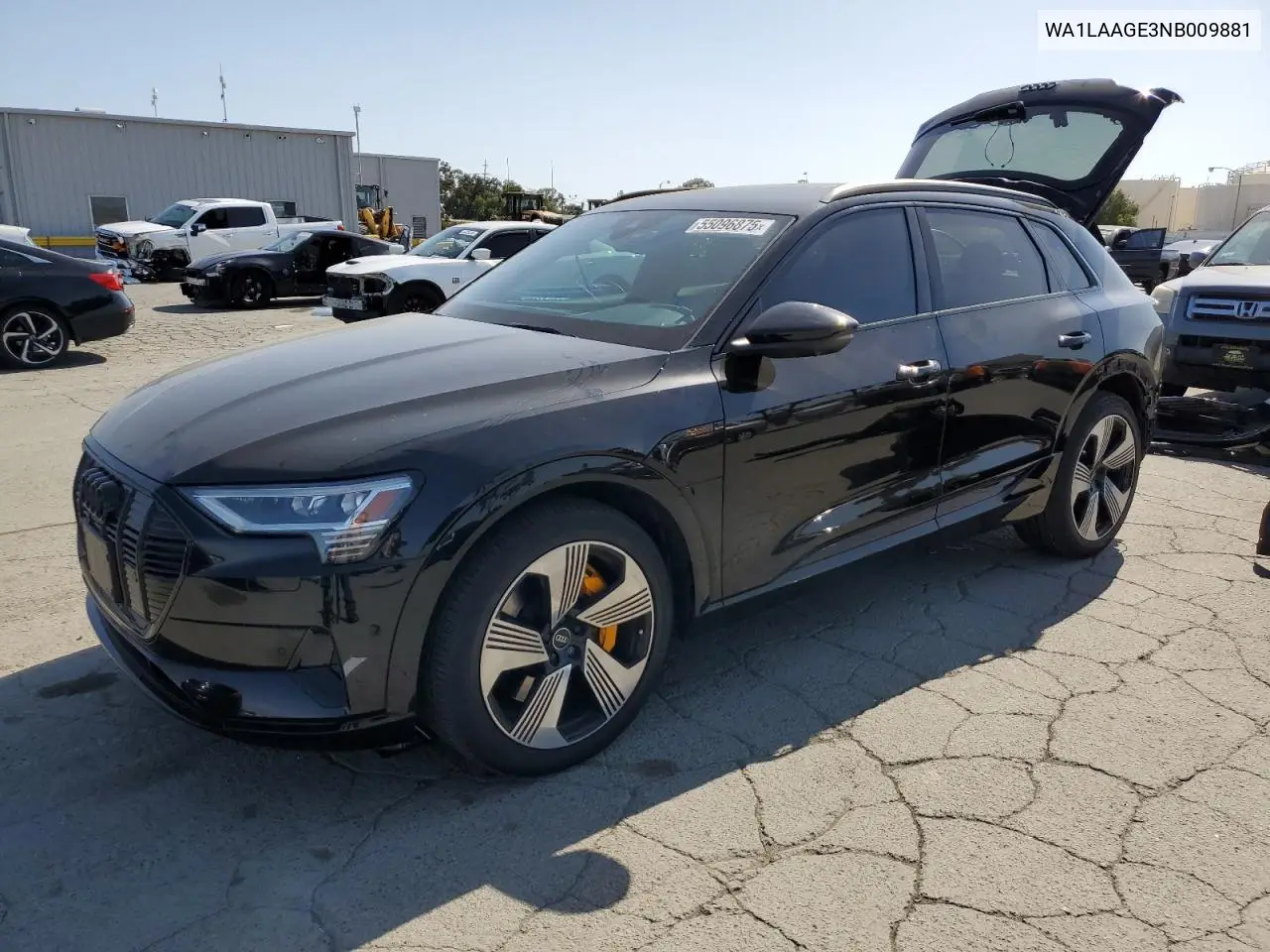 2022 Audi E-Tron Premium Plus VIN: WA1LAAGE3NB009881 Lot: 55096875
