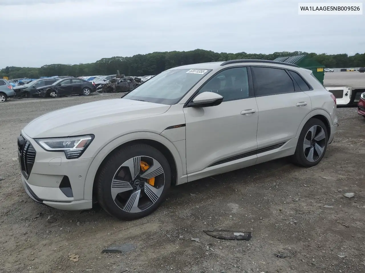 2022 Audi E-Tron Premium Plus VIN: WA1LAAGE5NB009526 Lot: 63073355