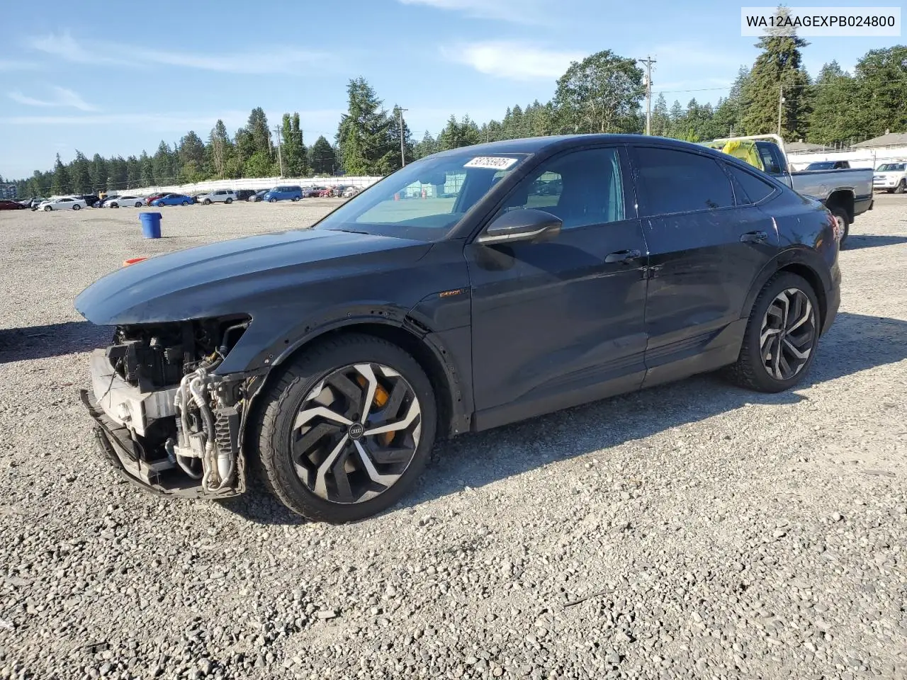 2023 Audi E-Tron Sportback Premium Plus VIN: WA12AAGEXPB024800 Lot: 58755905