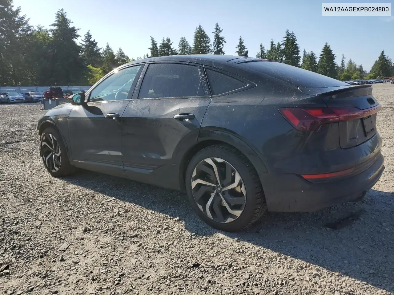 2023 Audi E-Tron Sportback Premium Plus VIN: WA12AAGEXPB024800 Lot: 58755905