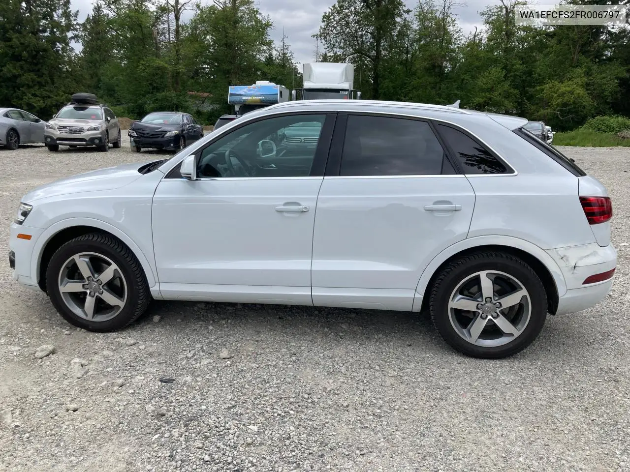 2015 Audi Q3 Premium Plus VIN: WA1EFCFS2FR006797 Lot: 55071595