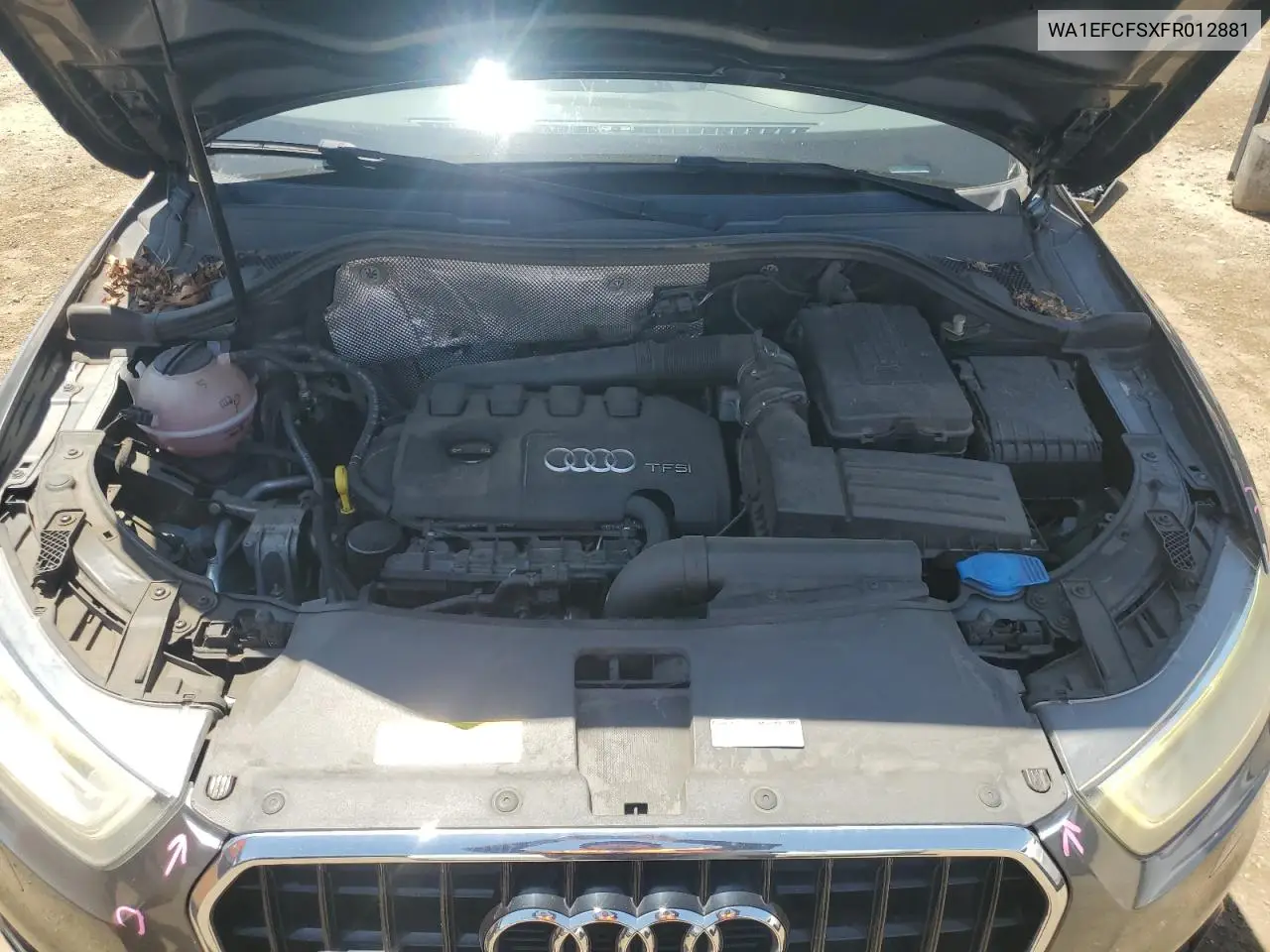 2015 Audi Q3 Premium Plus VIN: WA1EFCFSXFR012881 Lot: 62411795