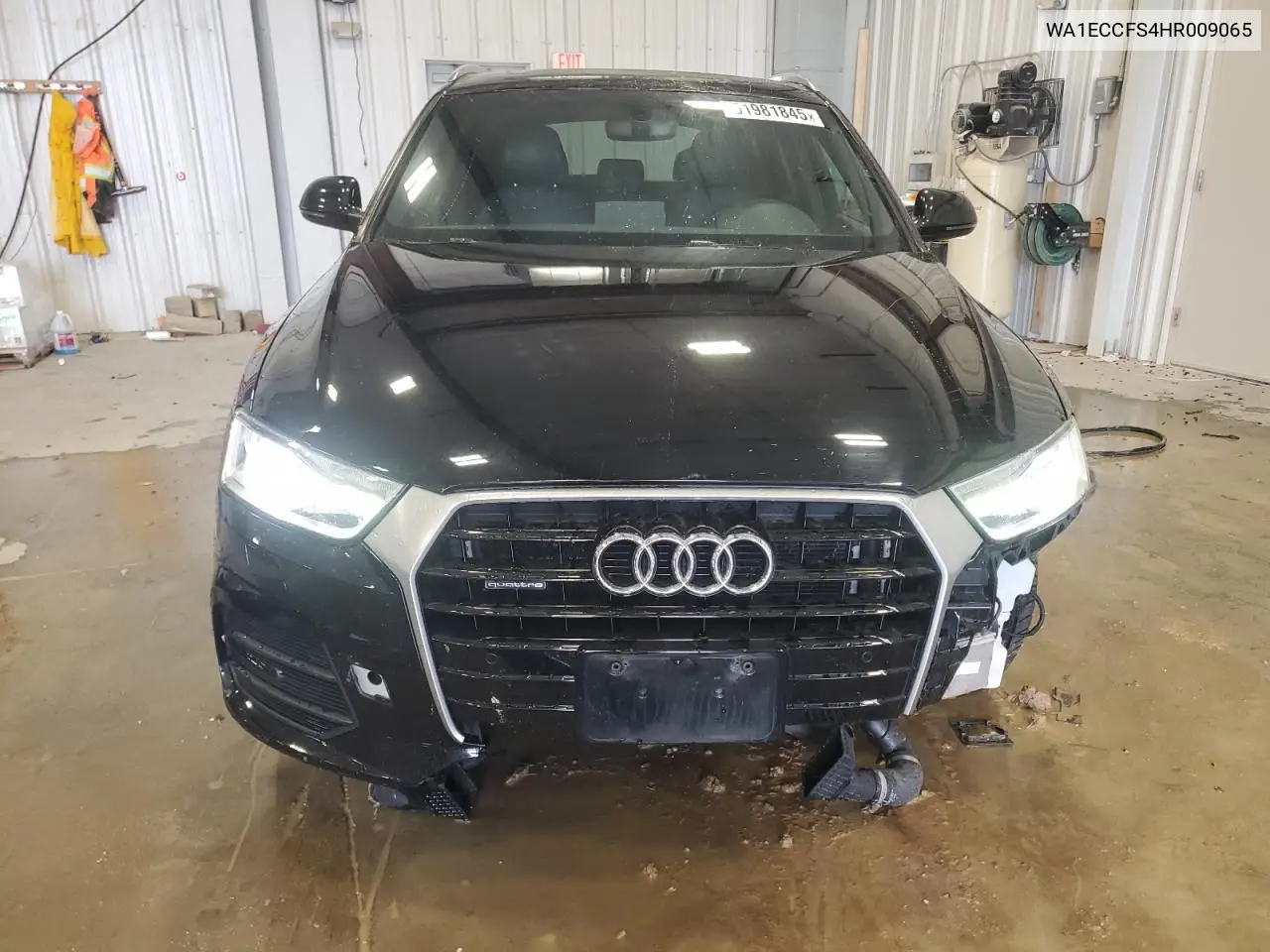 2017 Audi Q3 Premium VIN: WA1ECCFS4HR009065 Lot: 51981845