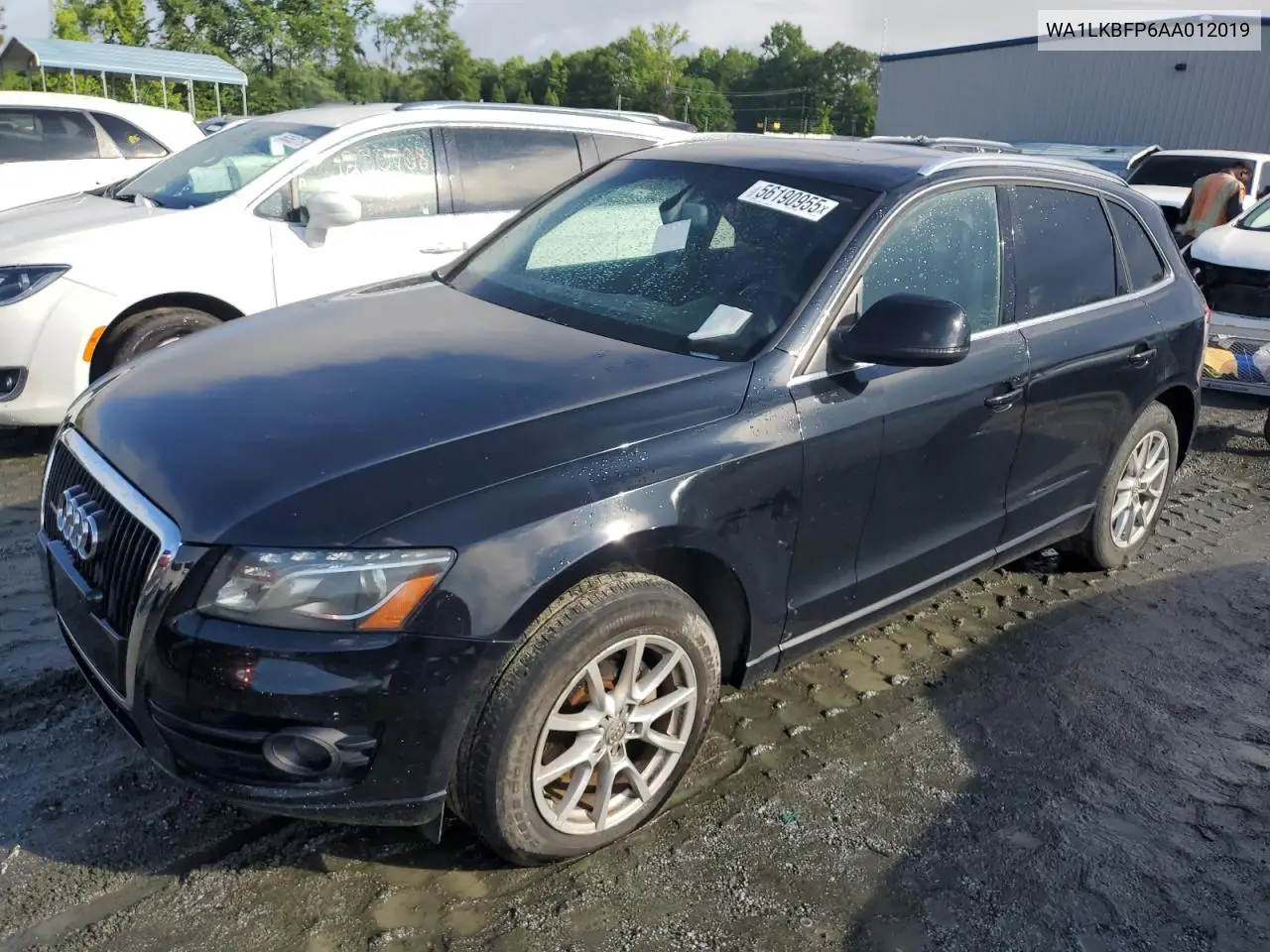 2010 Audi Q5 Premium Plus VIN: WA1LKBFP6AA012019 Lot: 56190955