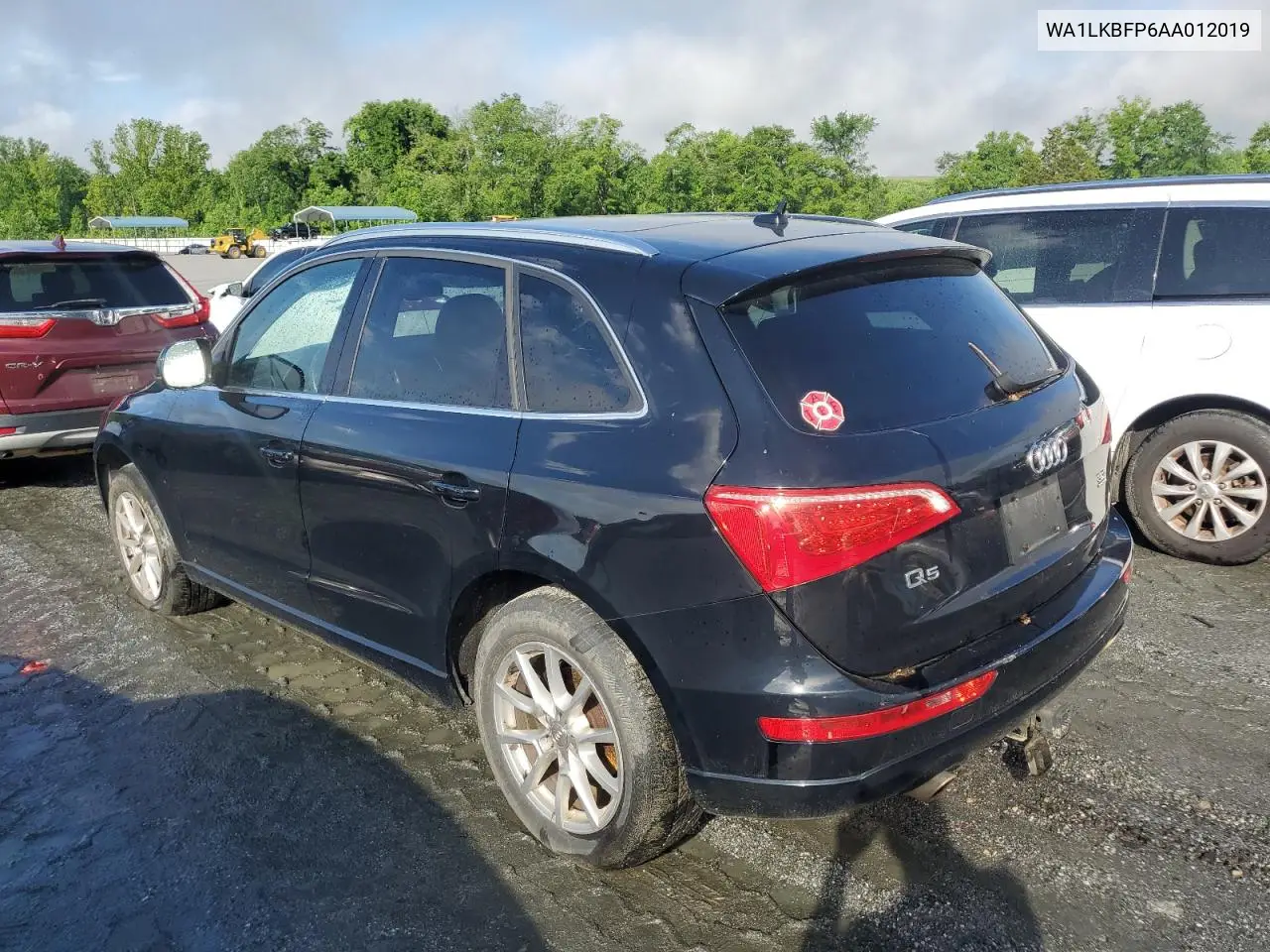2010 Audi Q5 Premium Plus VIN: WA1LKBFP6AA012019 Lot: 56190955