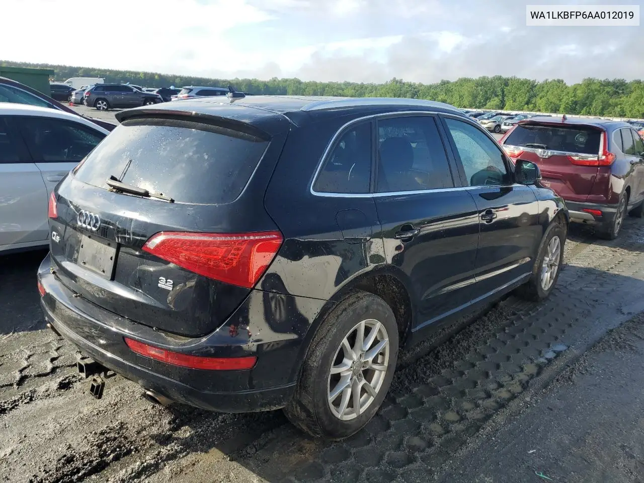 2010 Audi Q5 Premium Plus VIN: WA1LKBFP6AA012019 Lot: 56190955