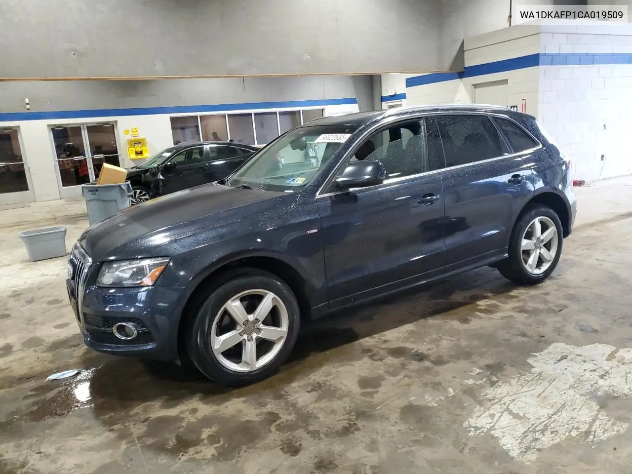 2012 Audi Q5 Premium Plus VIN: WA1DKAFP1CA019509 Lot: 56623565