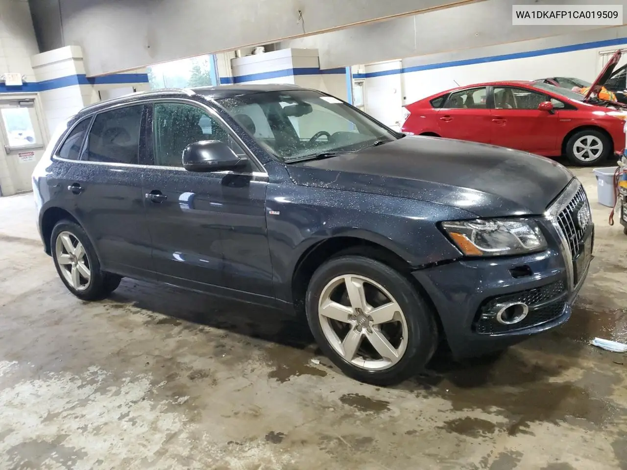 2012 Audi Q5 Premium Plus VIN: WA1DKAFP1CA019509 Lot: 56623565