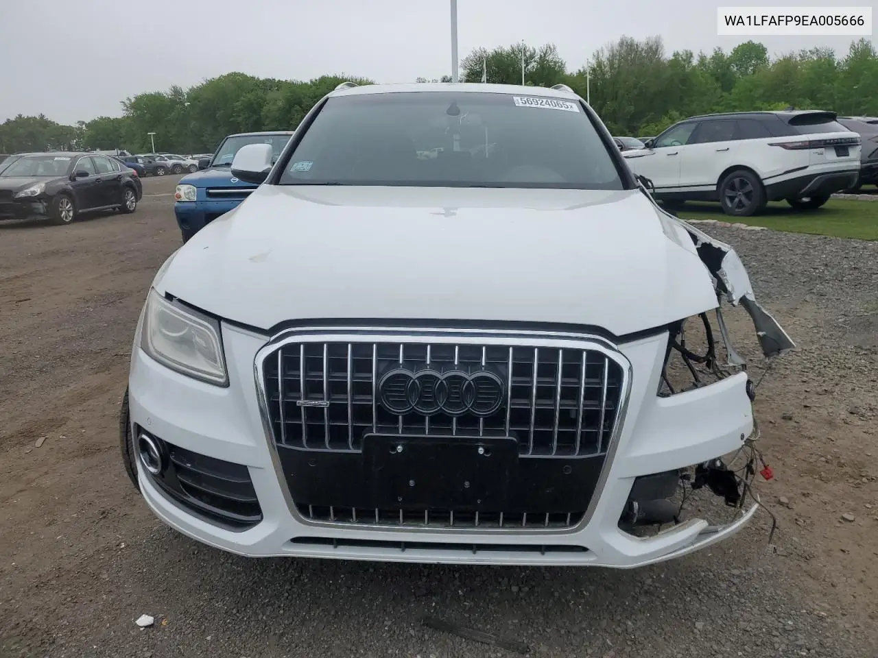 2014 Audi Q5 Premium Plus VIN: WA1LFAFP9EA005666 Lot: 56924065