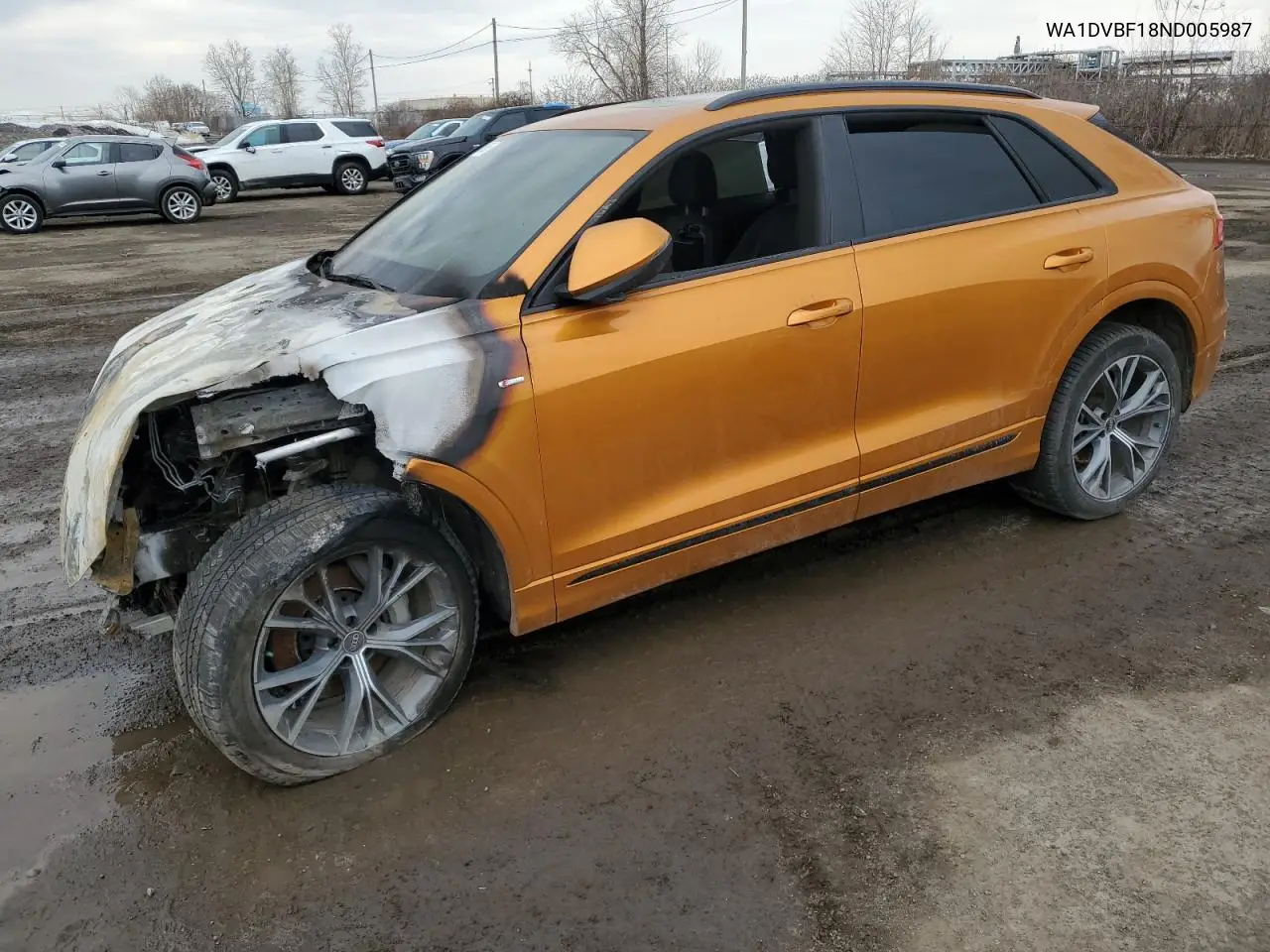 2022 Audi Q8 Progressiv VIN: WA1DVBF18ND005987 Lot: 49174965