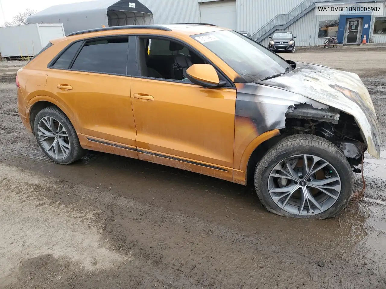 2022 Audi Q8 Progressiv VIN: WA1DVBF18ND005987 Lot: 49174965