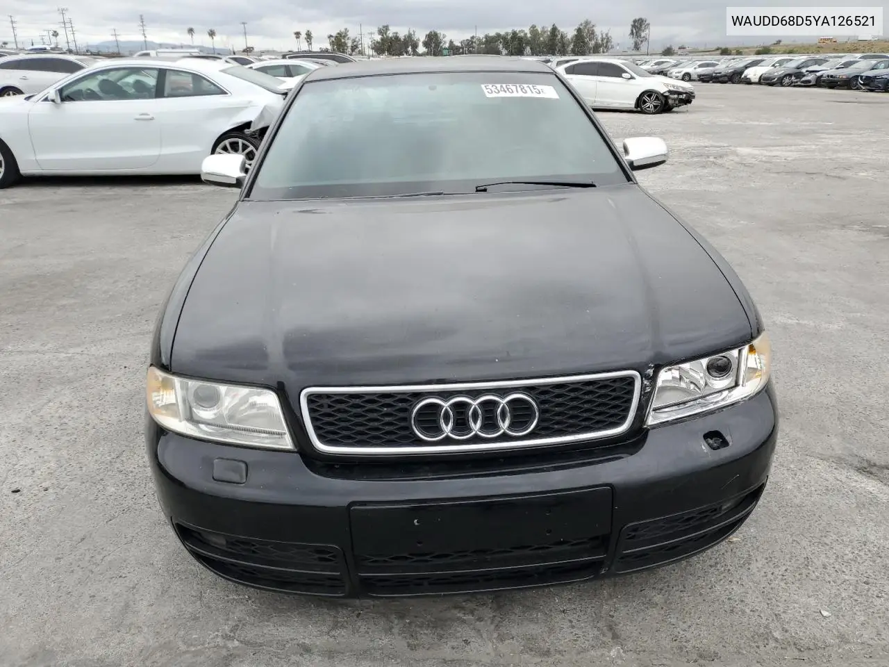 2000 Audi S4 2.7 Quattro VIN: WAUDD68D5YA126521 Lot: 53467815