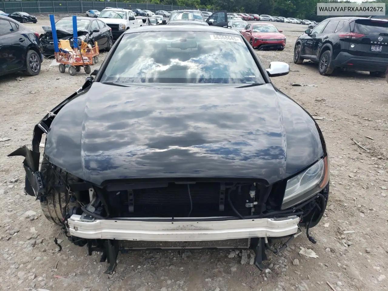 2010 Audi S5 Prestige VIN: WAUVVAFRXAA042672 Lot: 56368645