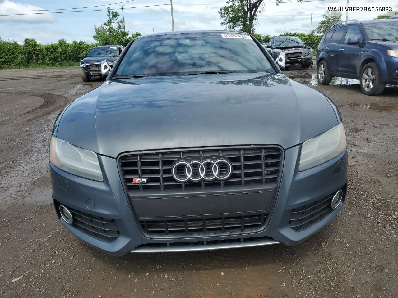 2011 Audi S5 Premium VIN: WAULVBFR7BA056883 Lot: 61803825