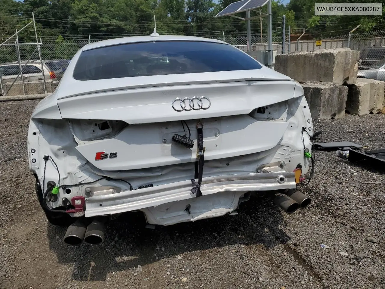 2019 Audi S5 Premium Plus VIN: WAUB4CF5XKA080287 Lot: 62570145