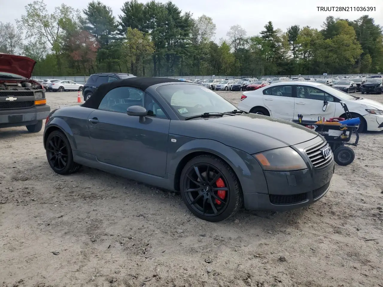 2001 Audi Tt Quattro VIN: TRUUT28N211036391 Lot: 56209165