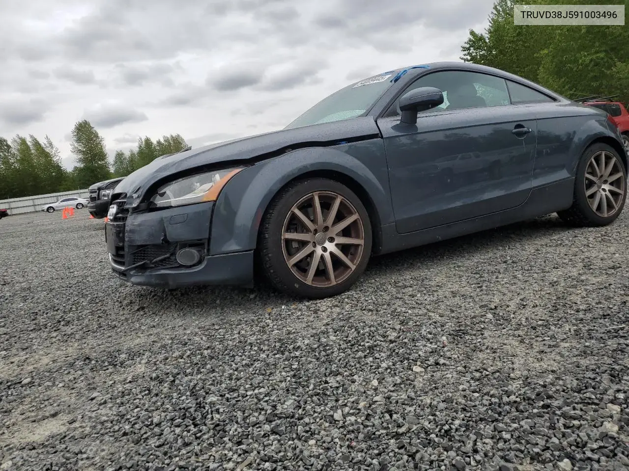 2009 Audi Tt VIN: TRUVD38J591003496 Lot: 54009445
