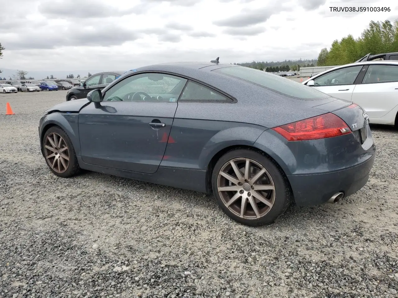 2009 Audi Tt VIN: TRUVD38J591003496 Lot: 54009445