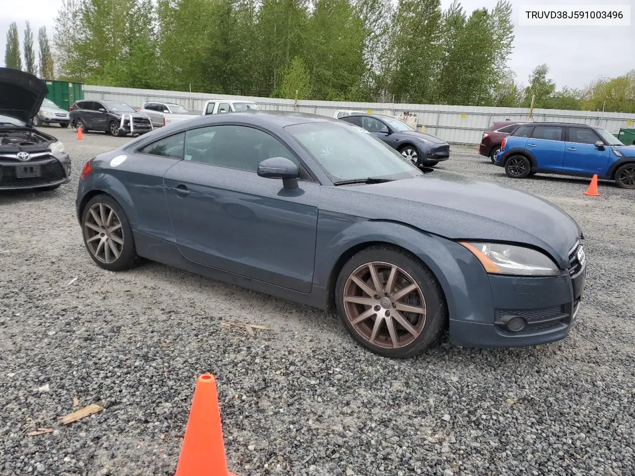 2009 Audi Tt VIN: TRUVD38J591003496 Lot: 54009445
