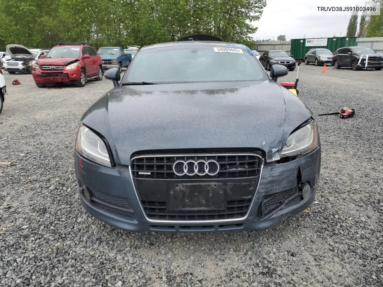 2009 Audi Tt VIN: TRUVD38J591003496 Lot: 54009445