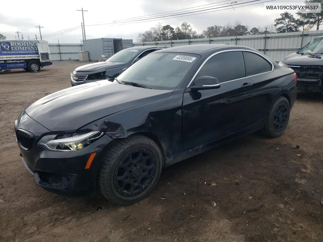 2015 BMW 228 Xi Sulev VIN: WBA1G9C53FVX96537 Lot: 43389595